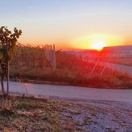 Weingut Will Und Wuerz Lemberger Lägenhet Schwaigern Exteriör bild