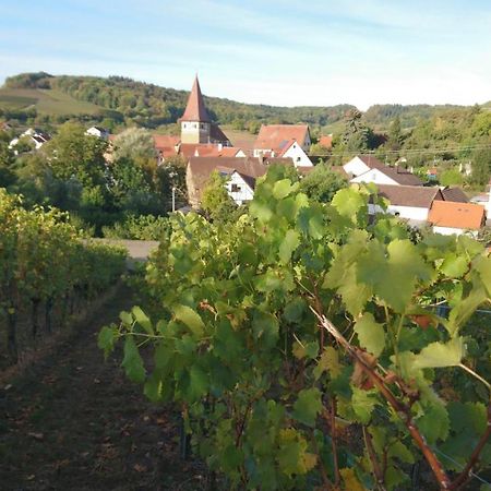 Weingut Will Und Wuerz Lemberger Lägenhet Schwaigern Exteriör bild