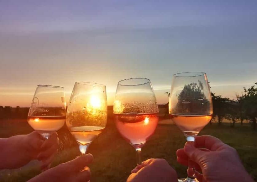 Weingut Will Und Wuerz Lemberger Lägenhet Schwaigern Exteriör bild